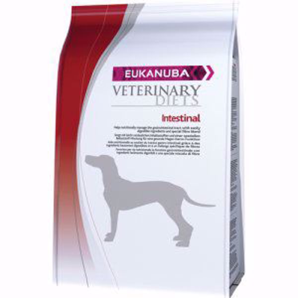 Eukanuba Intestinal 12 kg.