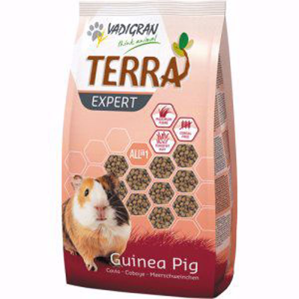 Vadigran Terra Guinea Pig Timothy 900 gr.