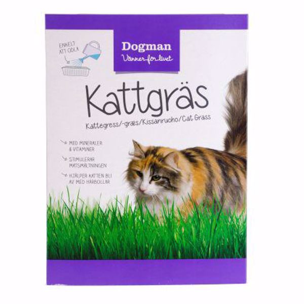 Kattegræs 100 gr.