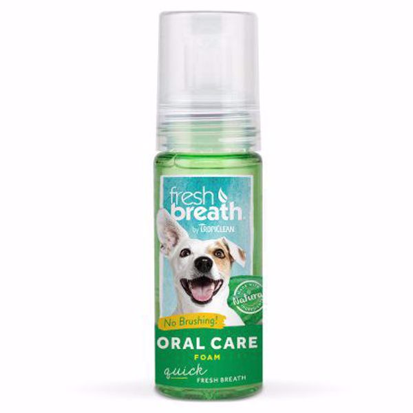 Fresh Breath Mintskum 133 ml