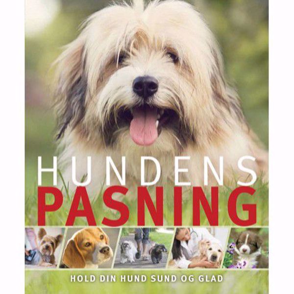 Hundens pasning