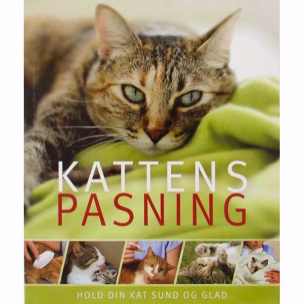 Kattens pasning