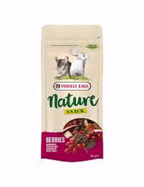 Nature Snack Berries 85 gr.