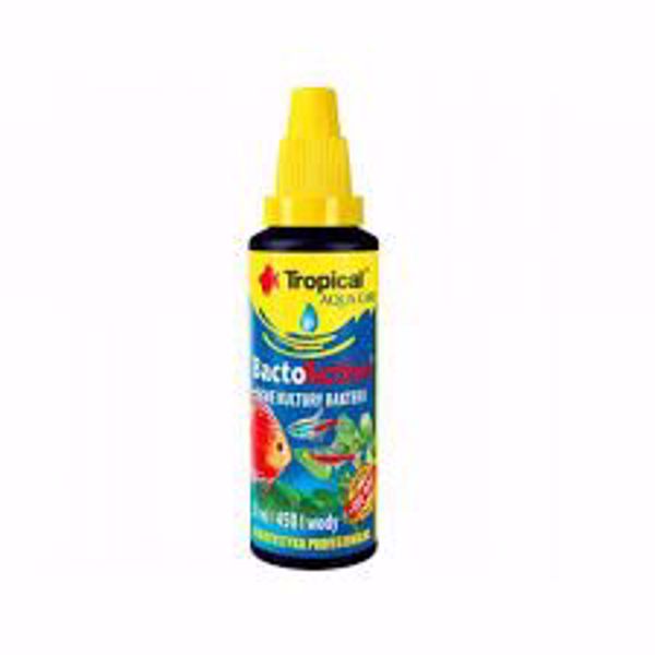 Tropical Bacto Active 30 ml